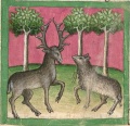Schaf und Hirsch (Cgm 254, 29r)
