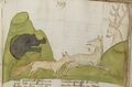 Bär, Fuchs und Hirschkuh (MS 653, 209r)