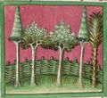 Lorbeer, Ölbaum, Lärche, Palme und Feigenbaum (Cgm 254, 22v)