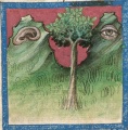 Ohr, Natur und Auge (Cgm 254, 21r)