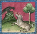 Einhorn und Rabe (Cgm 254, 38r)