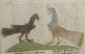 Pfau und Rabe (MS 653, 227v)