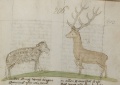 Schaf und Hirsch (MS 653, 206r)
