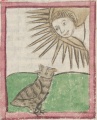 Eule und Tageslicht (Cgm 9602, 77r)