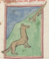 Fuchs und Wiesel II (Cgm 9602, 66r)