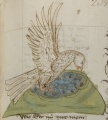 Taube und Kotlache (MS 653, 234r)