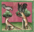 Fuchs und Hahn (Cgm 254, 35v)
