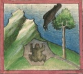 Rabe und Frosch (Cgm 254, 13r)