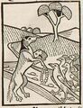 Fuchsmönch, Rabe und Hennen (Druck 1490, 14v)