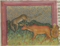 Ochse und Wolf I (MS Egerton 1121, 21r)