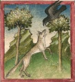 Wissbegieriger Fuchs und Rabe (Cgm 254, 2r)