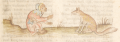 Affe und Fuchs II (Cgm 340, 81r)
