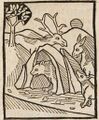 Bär, Fuchs und Hirschkuh (Druck 1490, 40r)