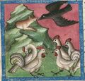 Fuchsmönch, Rabe und Hennen (Cgm 254, 11r)