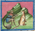 Affe und Fuchs II (Cgm 254, 57r)