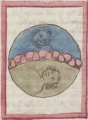 Erde und Himmel (Cgm 9602, 81r)